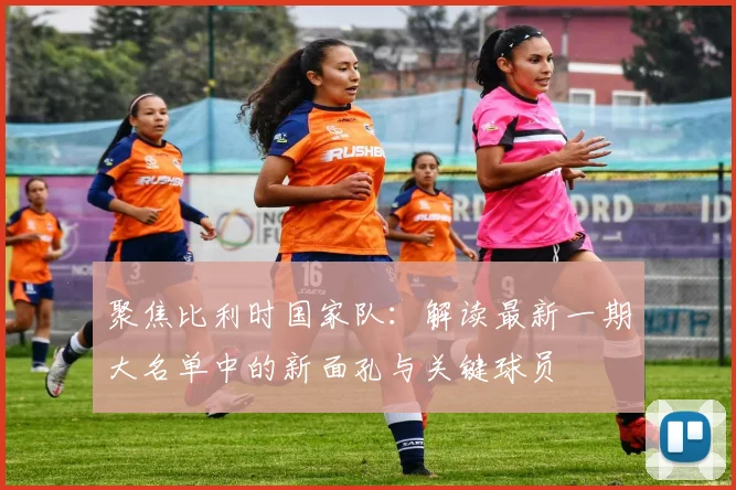 聚焦比利时国家队：解读最新一期大名单中的新面孔与关键球员