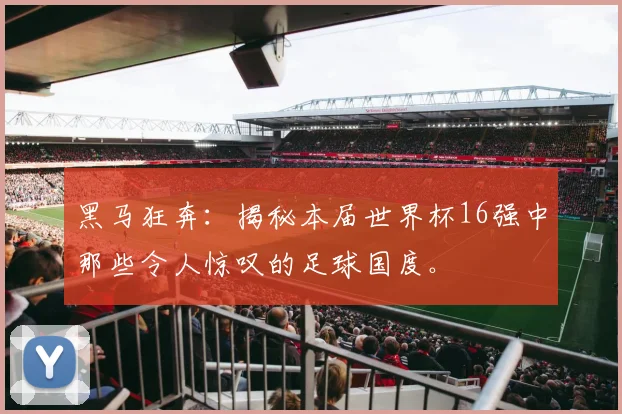 黑马狂奔：揭秘本届世界杯16强中那些令人惊叹的足球国度。