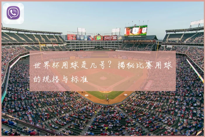 世界杯用球是几号?揭秘比赛用球的规格与标准