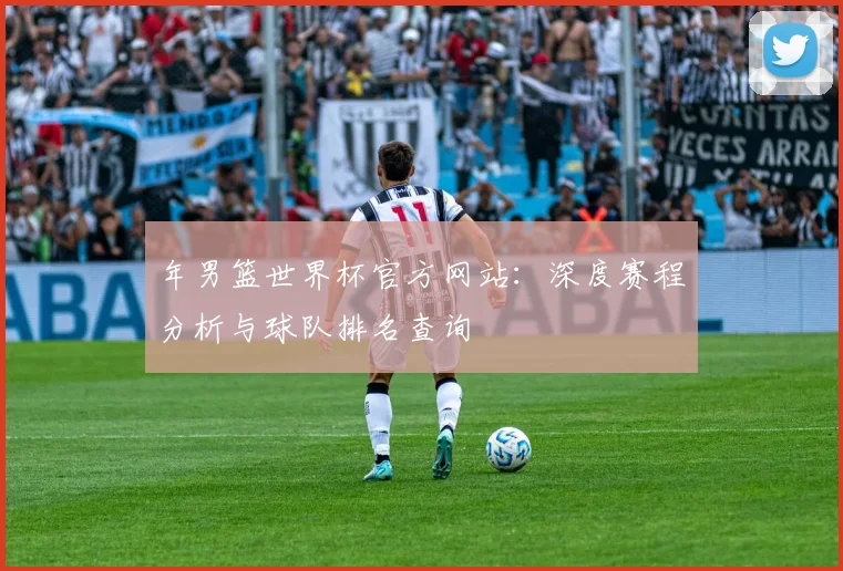 年男篮世界杯官方网站:深度赛程分析与球队排名查询