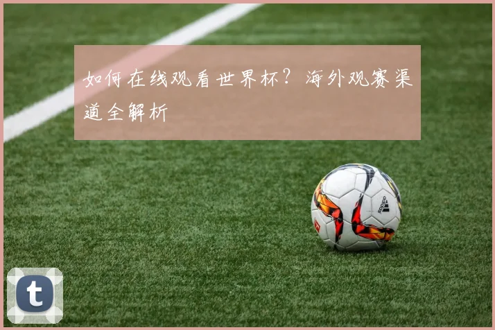 如何在线观看世界杯？海外观赛渠道全解析