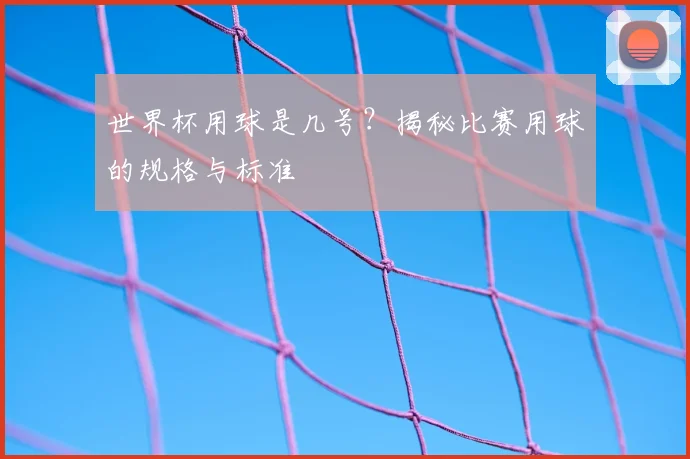 世界杯用球是几号?揭秘比赛用球的规格与标准