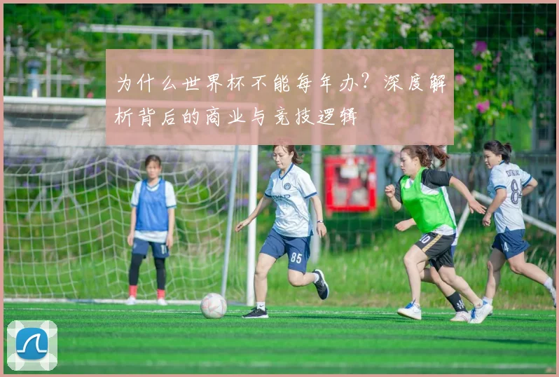 为什么世界杯不能每年办？深度解析背后的商业与竞技逻辑