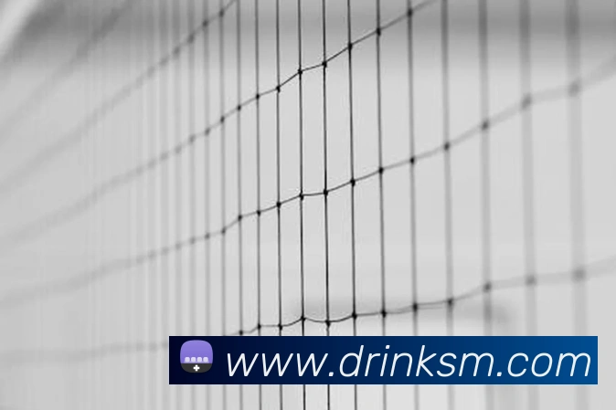 beat365永久免费版服务体系